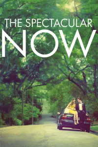 Affiche de The Spectacular Now