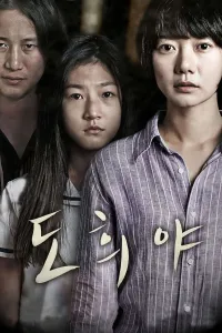 Affiche de A girl at my door