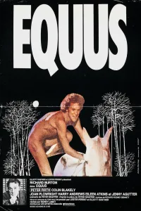 Affiche de Equus