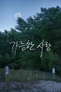 Affiche de Possible Love