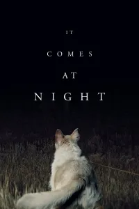 Affiche de It Comes at Night