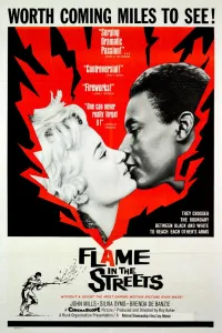 Affiche de Flame in the Streets