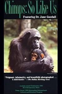 Affiche de Chimps: So Like Us