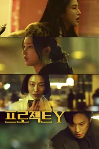 Affiche de Project Y