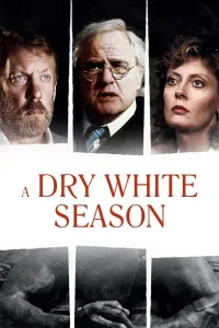 Affiche de Une saison blanche et sèche