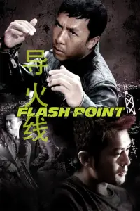 Affiche de Flashpoint