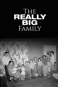 Affiche de The Really Big Family