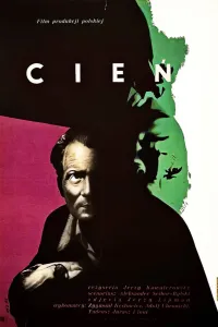 Affiche de L'ombre