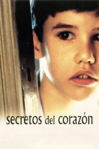 Affiche de Les Secrets du cœur