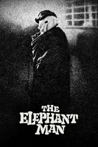 Affiche de Elephant Man