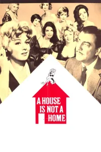 Affiche de La Maison de madame Adler