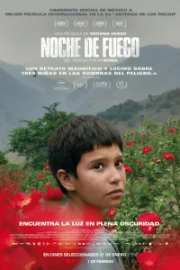 Affiche de Nuit de feu
