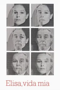 Affiche de Elisa, mon amour