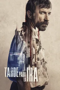 Affiche de La Colère d’un homme patient