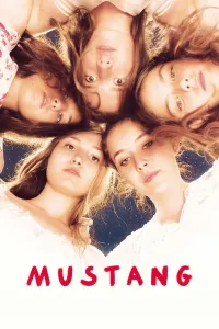 Affiche de Mustang