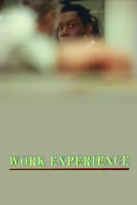 Affiche de Work Experience