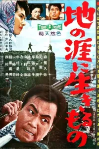 Affiche de The Angry Sea