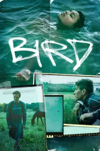 Affiche de Bird