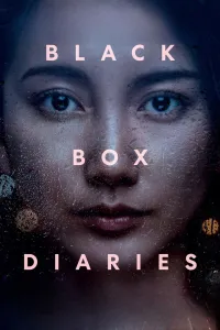 Affiche de Black Box Diaries