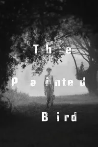 Affiche de L'Oiseau bariolé