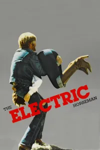 Affiche de Le Cavalier électrique