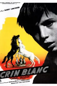 Affiche de Crin Blanc : Le Cheval sauvage