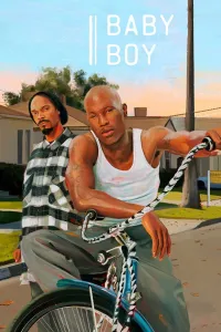 Affiche de Baby Boy