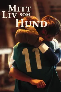 Affiche de Ma vie de chien