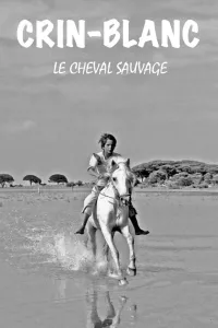 Affiche de Crin Blanc : Le Cheval sauvage
