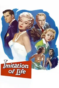 Affiche de Mirage de la vie