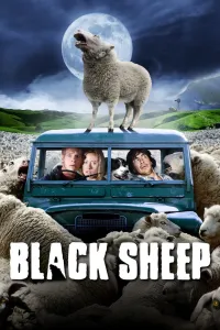 Affiche de Black Sheep