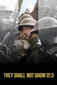 Affiche de Pour les soldats tombés