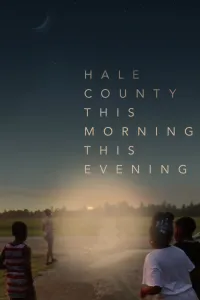 Affiche de Hale County, jour après jour