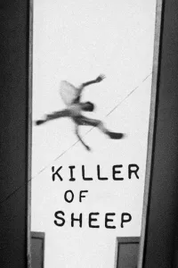 Affiche de Killer of Sheep