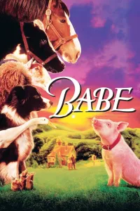 Affiche de Babe, le cochon devenu berger
