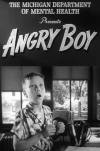 Affiche de Angry Boy