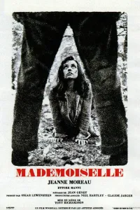 Affiche de Mademoiselle