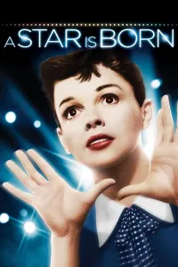 Affiche de Une étoile est née