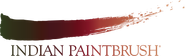 Indian Paintbrush